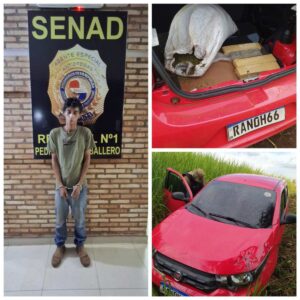 Detienen a brasileño transportando marihuana en un automóvil en zona rural de Capitán Bado