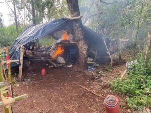 Anulan campamento narco y destruyen toneladas de marihuana en Capitán Bado