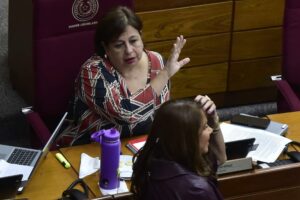 Cuestionada comisión de Anexo C: “No va a investigar en absoluto”, lamenta senadora