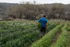 España continúa Francia como un mundo europeo para compensar el medio ambiente para | El clima es el medio ambiente
