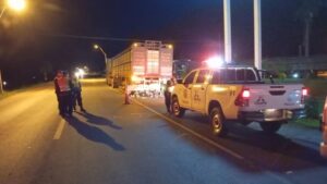 Motociclista muere tras chocar contra un transganado en Cerro Corá