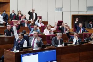 Senado aprueba con modificaciones proyecto “anti-concertación”: esto es lo que dice la oposición