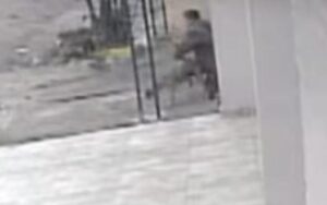Hombre es captado supuestamente abusando de un perro en una calle de PJC
