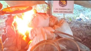 Incineran más de 1.900 kilos de marihuana y desmantelan campamentos en Pedro Juan Caballero