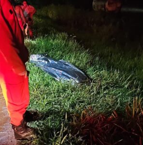Paraguayo es víctima de fatal atropellamiento en Ponta Porã