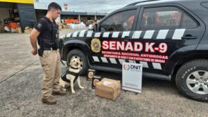 Cae encomienda con casi 8 kilos de marihuana en el aeropuerto Silvio Pettirossi