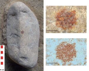 La estación de policía y los científicos dan un cinturón antiguo en el mundo «| Ciencia
