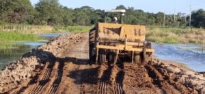 “Necesitamos vender”, dicen ganaderos de Alto Paraguay e inician reparación de caminos
