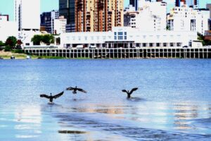 Pese a escenario “favorable” en el río Paraguay, Cafym insta a no “relajarse” con dragado