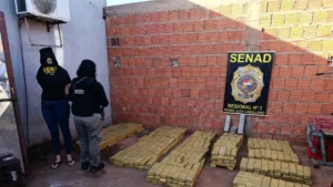 La Senad incauta 508 kilos de marihuana de un mini mercado en Pedro Juan Caballero