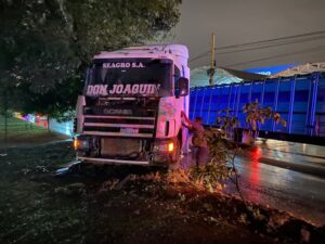 Camión de gran porte protagoniza accidente sobre Madame Lynch