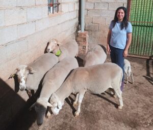 Venta de estados en venta a la venta | Bandido