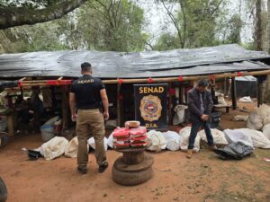 Karapaí: incautan más de 12 toneladas de marihuana y capturan a 4 implicados