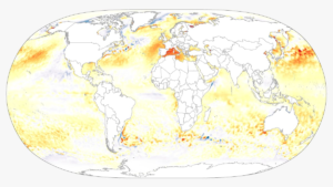 El mar Mediterráneo se ha completado: agua en 30 grados, pesadillas y malos colores | El clima es el medio ambiente
