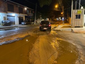 Fernando de la Mora: avenida Leopardi convertida en “zona de guerra” por baches