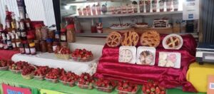 Itauguá también se posiciona como tierra de frutillas: lo que pocos saben de este cultivo exigente y delicado
