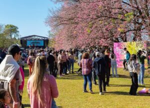 Segundo festival para celebrar permanencia del Cerezo en Flor en La Paz – Viajes