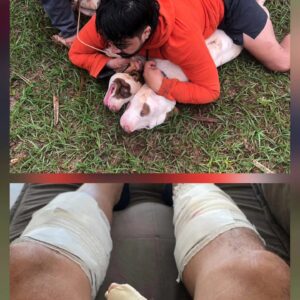 Ponta Porã: Vereador Marcelino Nunes exige aumento de multas para dueños de perros peligrosos
