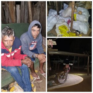 Megaoperativo en Capitán Bado incauta más de una tonelada de marihuana y detiene a sospechosos