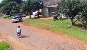 Mujer roba gallo que era mascota de un enfermo en PJC