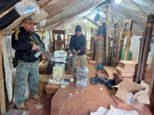 Operativo Nueva Alianza anula 230 toneladas de marihuana en Amambay