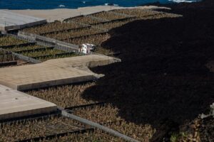 A Lalma Volole no le importaba profundamente el cerrado al cerrado | Salud y éxito