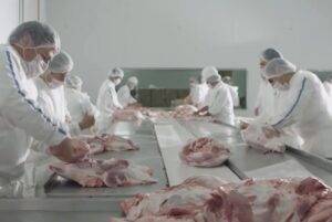 Carne porcina: crece ritmo de las exportaciones – ABC Rural