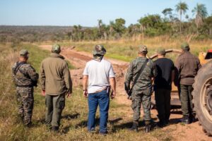 Destruyen pistas clandestinas utilizadas por marihuaneros en el Parque Nacional Paso Bravo, Concepción