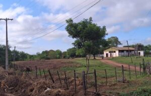 Intendente de Paraguarí admite que matadero municipal fue vendido al senador Retamozo y la Junta anula la transacción