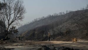 La última vez del fuego en España, Live | Archivo del anuncio sin cancelación contando el comienzo del puente Bridget | Bandido