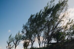 Meteorología: persiste alerta por vientos fuertes, de hasta 100 km/h