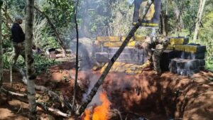 SENAD incinera 7.000 kilos de marihuana en una reserva forestal de Bella Vista Norte