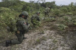 Bomphosa y Glyphosae: Peter hará la mente que ya estaba reprendida