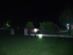 Choque fatal contra un caballo en Quyquyhó: muere un policía y el equino queda retenido