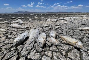 Daño a la ola a las sequías: una precisión de la que aumenta el círculo de agua | El clima es el medio ambiente