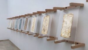 Desde los hongos en una confirmación empatada: solo una casa de edificios | Ciencia
