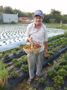 Itauguá: Fiscalía pide informe sobre desaparición de adulto mayor