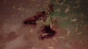 Fatal choque de motocicletas en Bella Vista Norte deja un fallecido y un herido grave