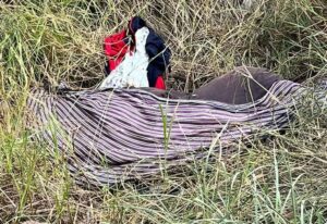 Encuentran sin vida a un indígena cerca de un arroyo en Capitán Bado