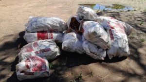 Incautan carga de mandioca de contrabando en la frontera de Pedro Juan Caballero