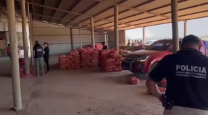 DNIT incauta cebollas de productor reconocido por el MAG