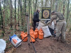 Decomisan más de 1.200 kg de marihuana en Capitán Bado e incautan precursores para droga «ICE»