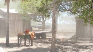 Más de 16.000 hectáreas afectadas por incendio en Bahía Negra