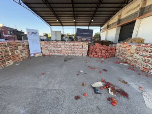 Operativo Jejoko Mbarete: Gobierno despliega 500 militares contra el contrabando