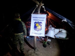 Bella Vista Norte: Antinarcóticos destruyen tres toneladas de marihuana