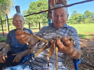Guachas, lazos y tradición: el arte que aún se forja en Santiago