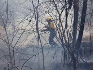 Incendios en Chovoreca: JEM inicia investigación contra jueces y fiscales