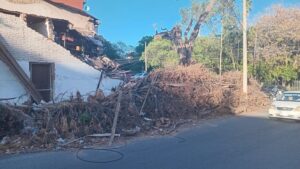 Ramas secas ponen en riesgo a transeúntes y reflejan la desidia municipal en pleno centro