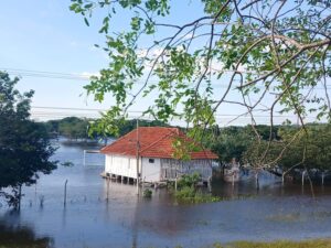 Temporal y desborde del río Aguaraymí dejan severos daños en San Pedro