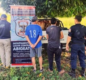 Abigeato en Carapeguá: dos detenidos y cuatro animales vacunos recuperados